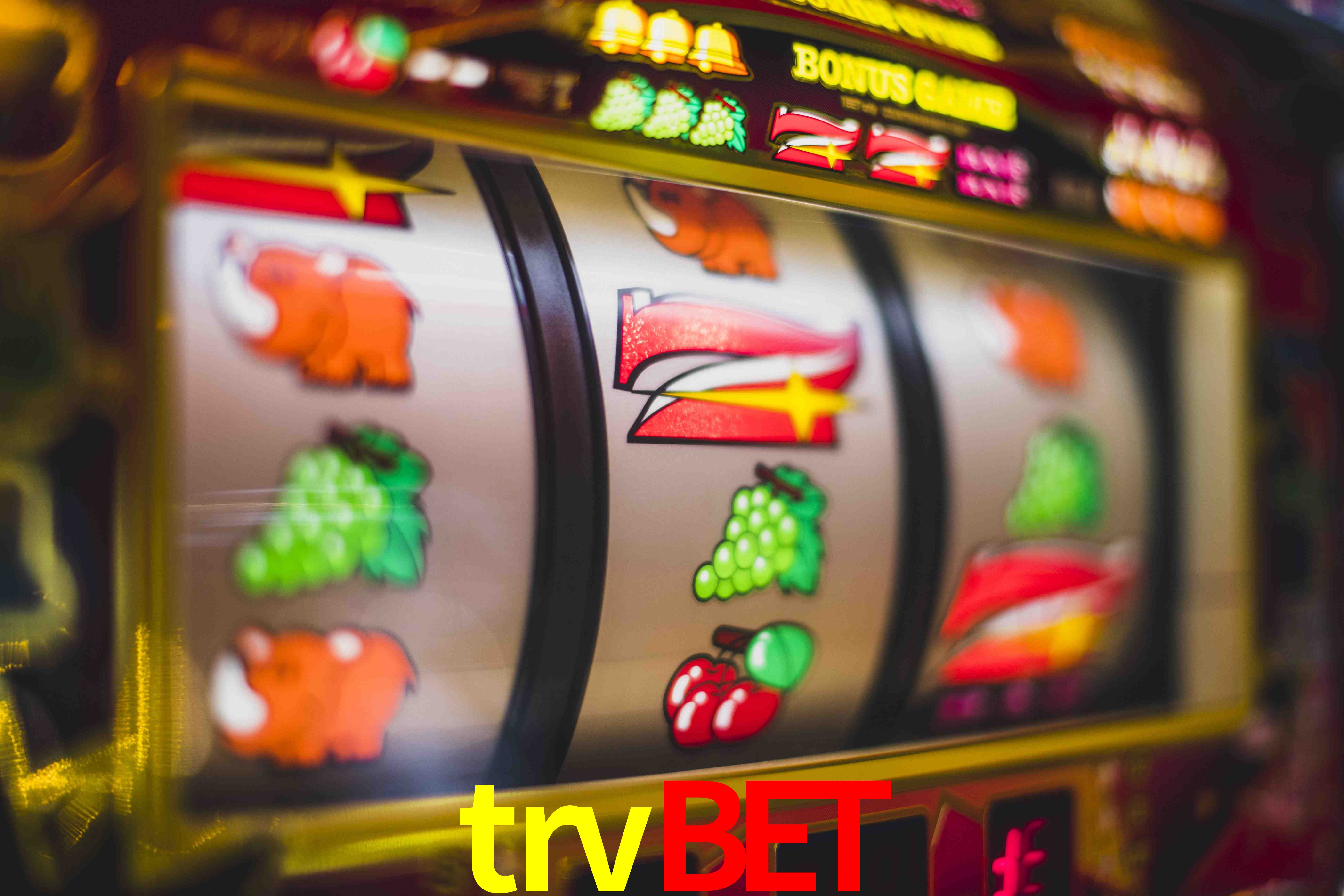 Basketball Betting trvbet